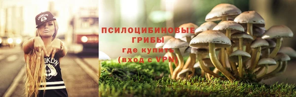мет Алексеевка