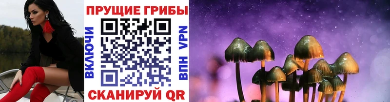 Псилоцибиновые грибы GOLDEN TEACHER blacksprut ссылки Камызяк